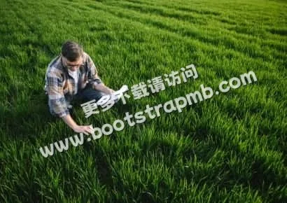 探索体育的无限魅力 - 南宫体育