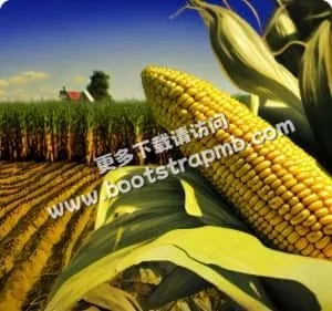 Taking care of the Earth one field at a time - 南宫体育