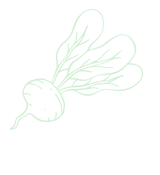 Cultivating a sustainable future for all - 南宫体育